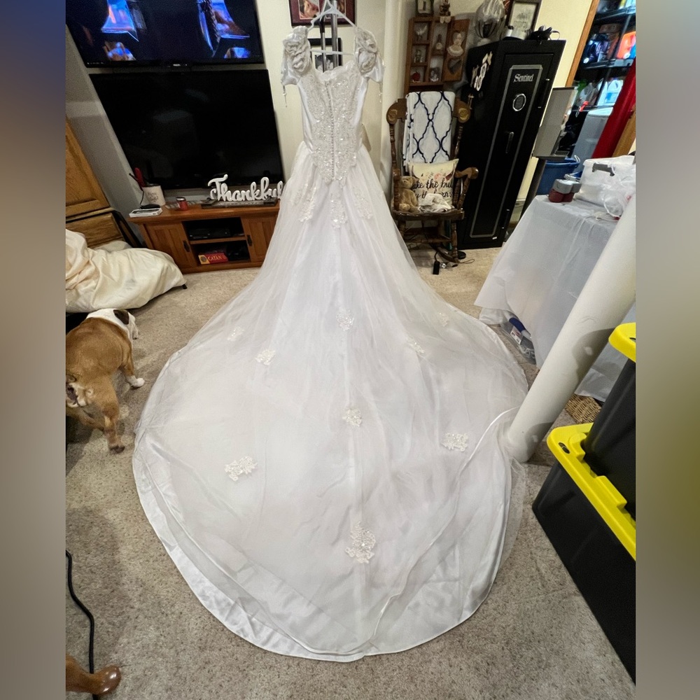 Moonlight Wedding Dress w/Long Train - Picture 8 of 10